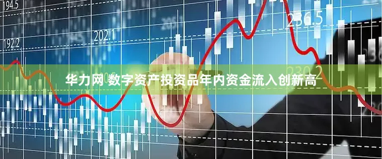 华力网 数字资产投资品年内资金流入创新高