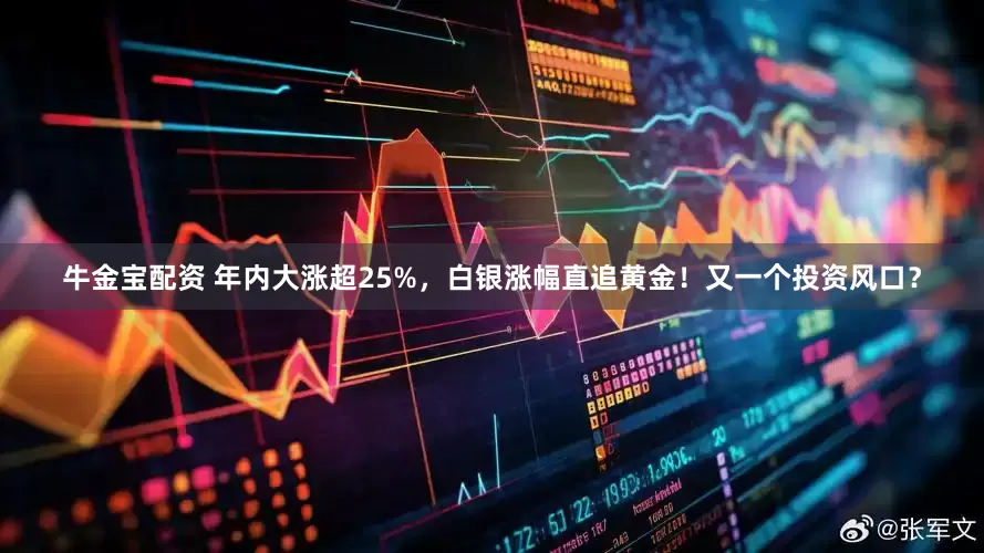 牛金宝配资 年内大涨超25%，白银涨幅直追黄金！又一个投资风口？