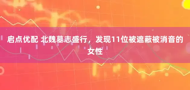 启点优配 北魏墓志盛行，发现11位被遮蔽被消音的女性