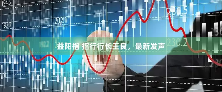 益阳指 招行行长王良，最新发声