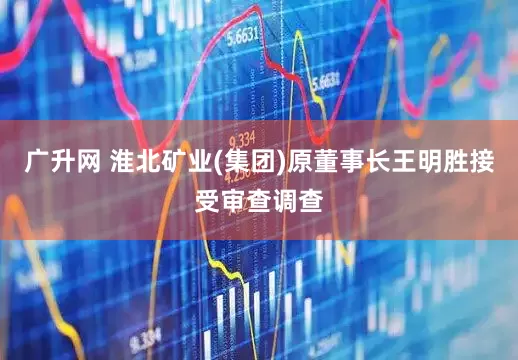 广升网 淮北矿业(集团)原董事长王明胜接受审查调查