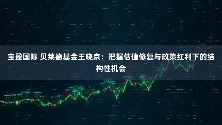 宝盈国际 贝莱德基金王晓京：把握估值修复与政策红利下的结构性机会
