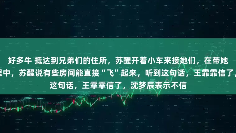 好多牛 抵达到兄弟们的住所，苏醒开着小车来接她们，在带她们前往住所的过程中，苏醒说有些房间能直接“飞”起来，听到这句话，王霏霏信了，沈梦辰表示不信