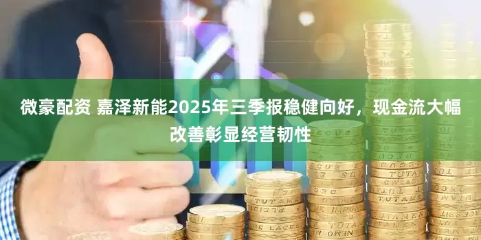 微豪配资 嘉泽新能2025年三季报稳健向好，现金流大幅改善彰显经营韧性